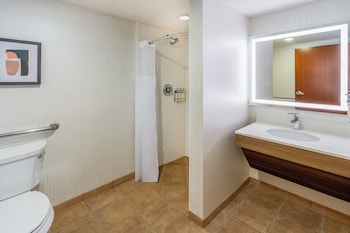Standard Room, 1 King Bed, Roll-in Shower (Mobility Accessible)