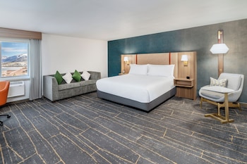 Standard Room, 1 King Bed, Roll-in Shower (Mobility Accessible)