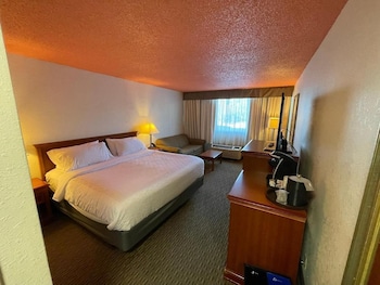 Single Room, 1 King Bed