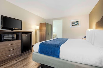 Standard Room, 1 King Bed, Non Smoking, Microwave