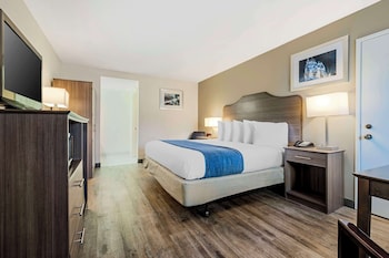 Standard Room, 1 King Bed, Non Smoking, Microwave
