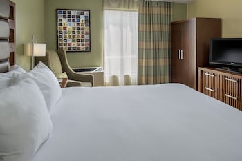 One Queen Bed