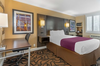 Standard Room, 1 Queen Bed, Non Smoking, Refrigerator & Microwave