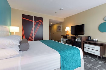 Room, 1 King Bed, Non Smoking