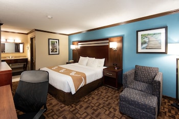 Room, 1 Queen Bed, Smoking