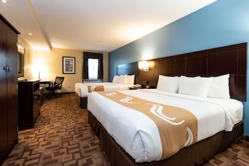 Family Suite (2 King and 1 Sofa Bed)