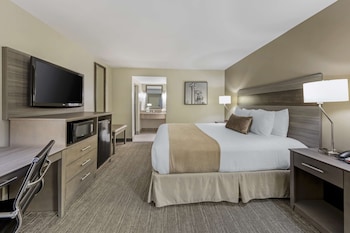 Standard Room, 1 King Bed, Accessible, Non Smoking