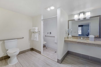 Standard Room, 1 King Bed, Accessible, Non Smoking
