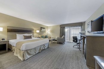 Junior Suite, 1 King Bed, Non Smoking, Balcony (with Sofabed)