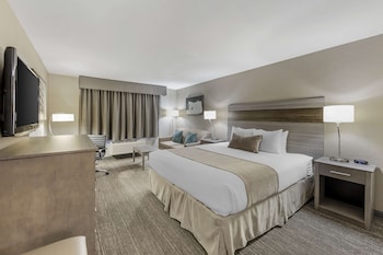 Deluxe Room, 1 King Bed, Non Smoking, Refrigerator & Microwave (with Sofabed)