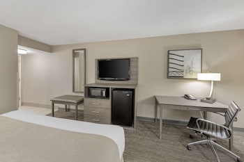 Deluxe Room, 1 King Bed, Non Smoking, Refrigerator & Microwave (with Sofabed)