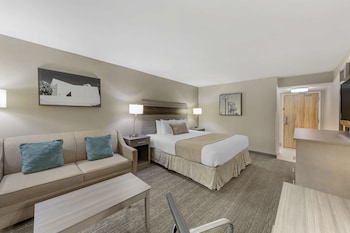 Deluxe Room, 1 King Bed, Non Smoking, Refrigerator & Microwave (with Sofabed)
