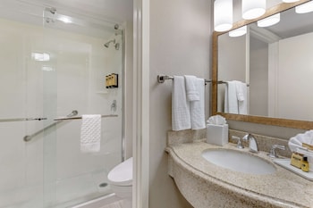 Deluxe Room, 1 King Bed, Non Smoking, Refrigerator & Microwave (with Sofabed)