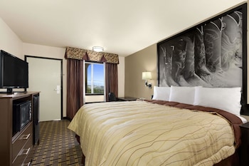 Standard Room, 1 King Bed, Non Smoking