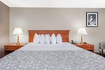 Room, 1 King Bed, Accessible, Non Smoking (Mobility/Hearing,roll-in shower)