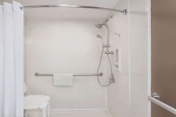 Room, 1 King Bed, Accessible, Non Smoking (Mobility/Hearing,roll-in shower)