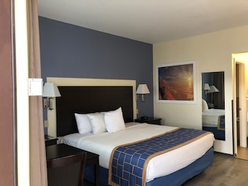 Room, 1 Double Bed, Accessible, Non Smoking