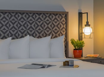 Room, 1 King Bed (Allergen Friendly Feather Free)