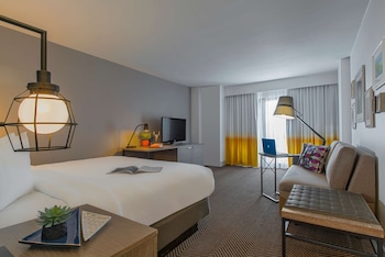 Room, 1 King Bed (Allergen Friendly Feather Free)
