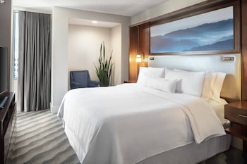 Classic Room, 1 King Bed (Hearing Accessible)