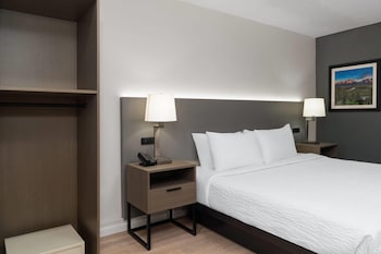 Room, 1 King Bed, Mobility Accessible, Non Smoking (Roll-in Shower)
