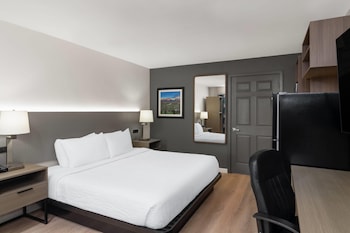 Room, 1 King Bed, Mobility Accessible, Non Smoking (Roll-in Shower)