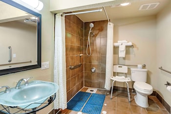 Standard Room, 1 King Bed, Accessible, Refrigerator & Microwave (with Sofabed)