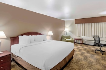 Standard Room, 1 King Bed, Accessible, Refrigerator & Microwave
