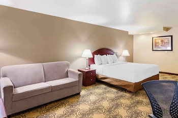 Standard Room, 1 King Bed, Accessible, Refrigerator & Microwave (with Sofabed)