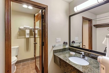 Standard Room, 1 King Bed, Non Smoking, Jetted Tub