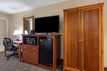 Executive Room, 1 King Bed, Non Smoking, Refrigerator & Microwave
