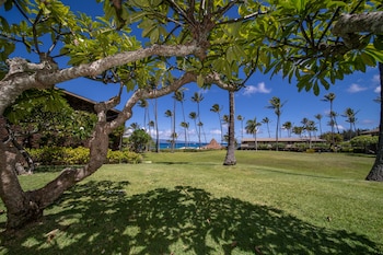 Studio, Ocean View