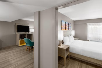 Suite, 1 King Bed with Sofa bed, Non Smoking