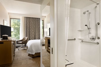 Room, Accessible, Non Smoking (Roll-in Shower)