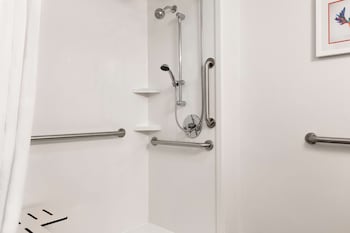 Room, Accessible, Non Smoking (Roll-in Shower)