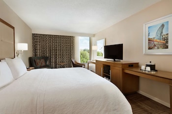 Deluxe Room, 1 King Bed, Non Smoking