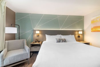 Business Room, 1 King Bed, Non Smoking