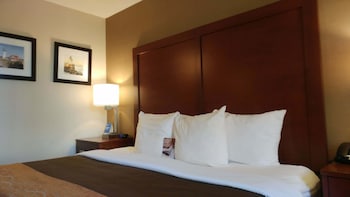Standard Room, 1 King Bed, Non Smoking