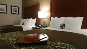 Standard Double Room, 2 Double Beds, Non Smoking