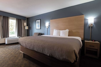 Standard Room, 1 King Bed, Smoking