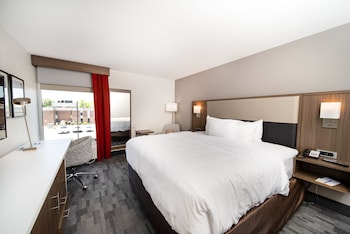 Suite, 1 King Bed with Sofa bed, Accessible, Non Smoking (Mobility Accessible with Tub)