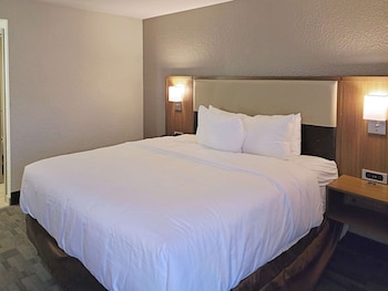 Standard Room, 1 King Bed, Non Smoking