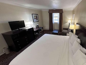 Standard Room, 1 King Bed, Accessible, Non Smoking