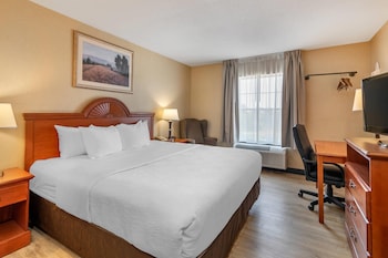 Room, 1 King Bed, Non Smoking