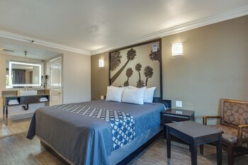 Deluxe Room, 1 King Bed, Jetted Tub
