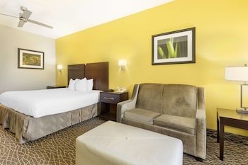 Standard Room, 1 King Bed, Non Smoking, Refrigerator (with Sofabed)