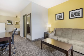 Suite, 1 King Bed, Non Smoking, Refrigerator (with Sofabed)