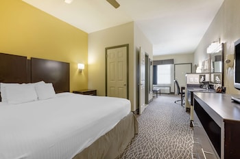 Suite, 1 King Bed, Non Smoking, Refrigerator (with Sofabed)