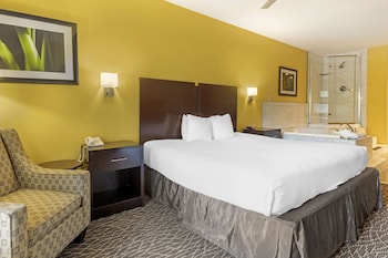 Suite, 1 King Bed, Non Smoking, Jetted Tub (with Sofabed)