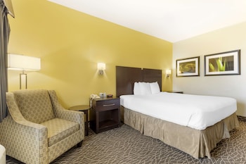Standard Room, 1 King Bed, Accessible, Bathtub